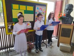 viber_slika_2022-10-31_18-20-03-257.jpg